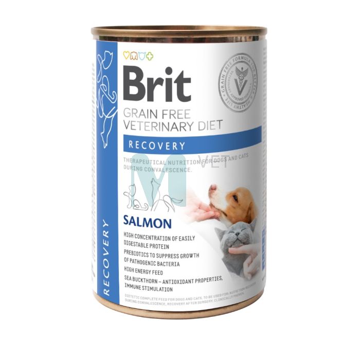 BRIT GF KASSI/KOERA KONSERV RECOVERY 400G #