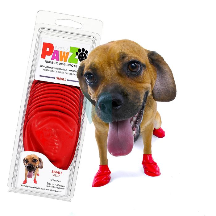 SCHULZE KOERA KUMMISOKID PAWS S PUNANE N12 #
