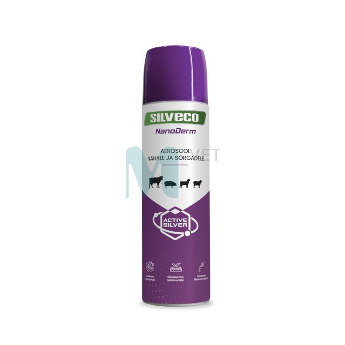 SILVECO NANODERM NAHA JA SÕRGADE AEROSOOL 250ML