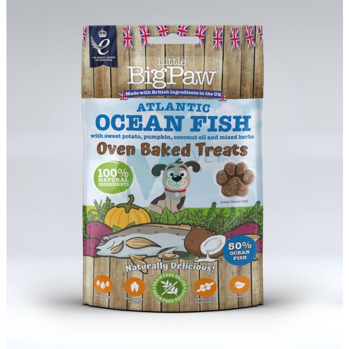 LITTLE BIGPAW KOERA MAIUS OVEN BAKED OOKEANIKALA 130G N1