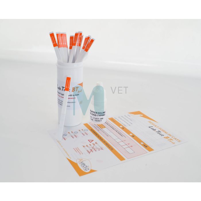 VEREGRUPI TEST ALVEDIA KASS N20