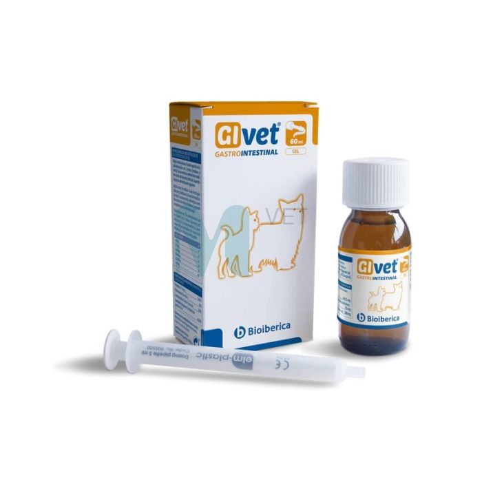 BIOIBERICA GIVET SUUKAUDNE GEEL 60ML N1