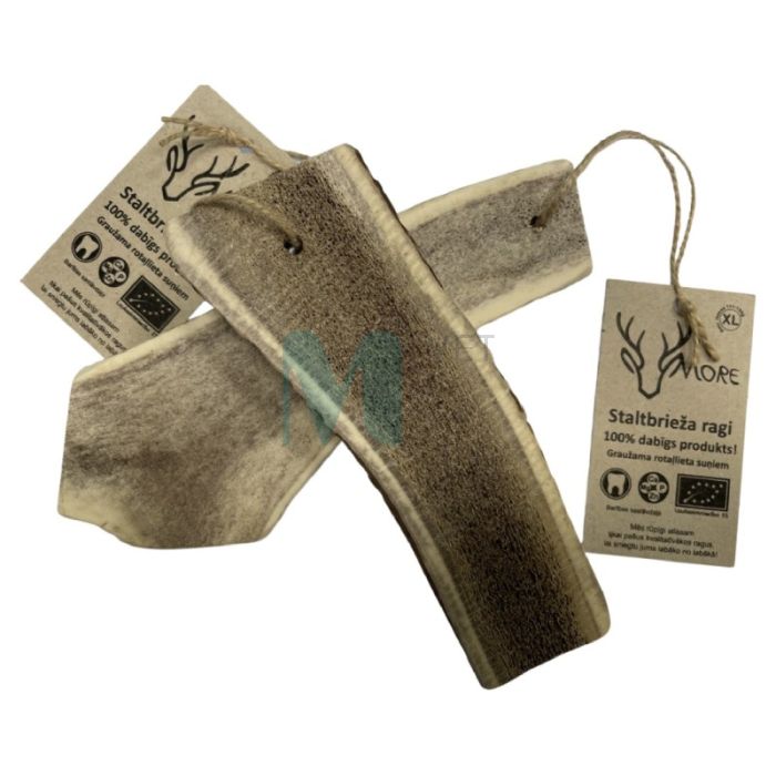 MORE KOERA MAIUS HIRVESARV XL (111-150G) #