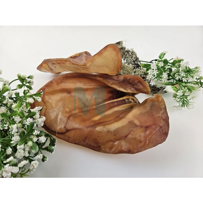 OTTOMAR KOERA MAIUS KUIVATATUD SEAKÕRV N2