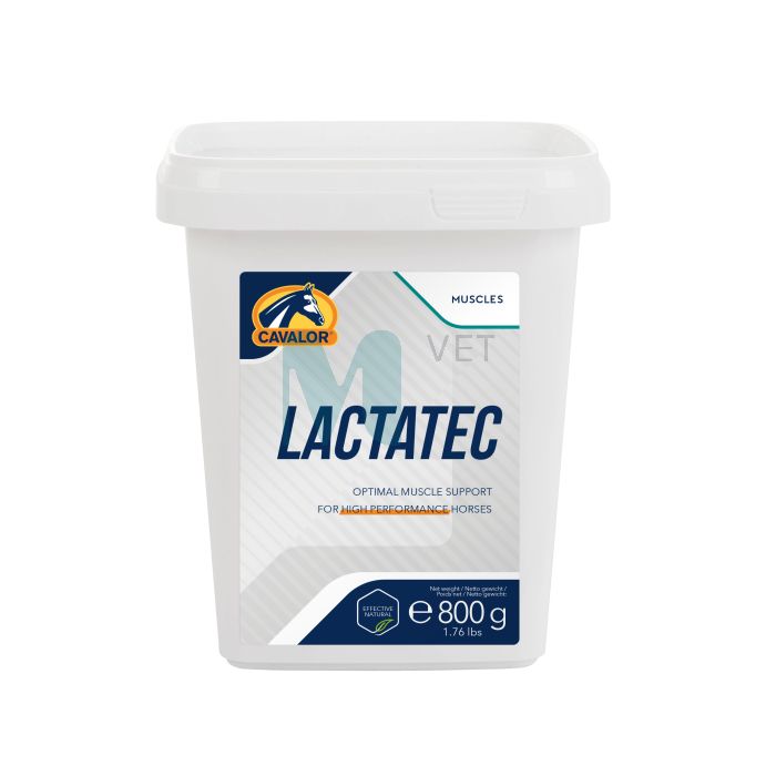 CAVALOR HOBUSE TÄIENDSÖÖT LACTATEC 800GR