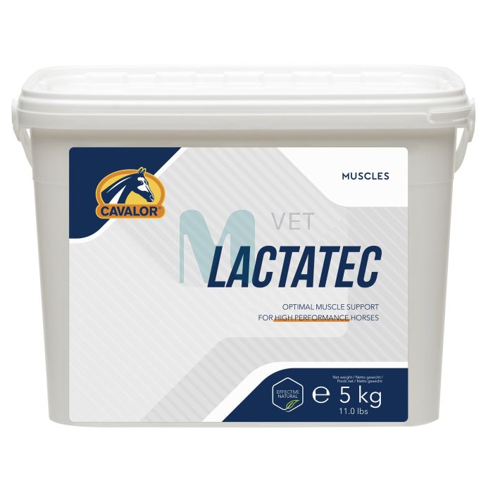 CAVALOR HOBUSE TÄIENDSÖÖT LACTATEC 5KG