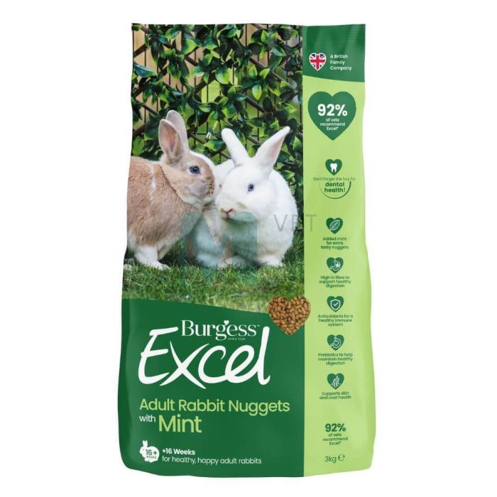 BURGESS EXCEL KÜÜLIKU TÄISSÖÖT MINT 3KG