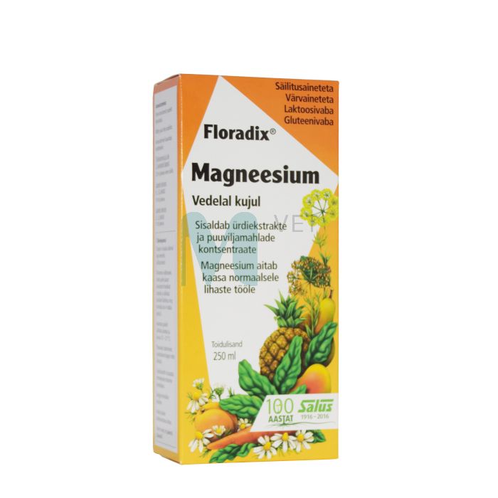 SALUS FLORADIX MAGNEESIUM 250ML ÜRDI-MAHLAKONTSENTRAAT