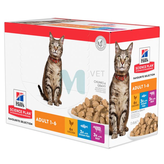 HILLS KASSI EINEKOTIKE MULTI KANA/KALA/VEIS 85G N12