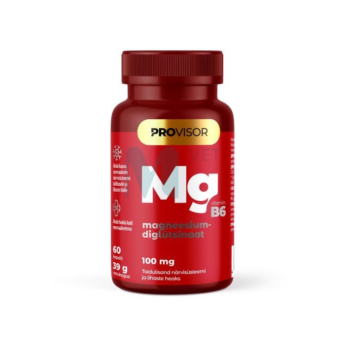 PROVISOR MAGNEESIUMDIGLÜTSINAAT 100MG N60