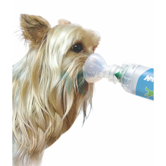 TRUDELL AERODAWG* KAMBER SUUR