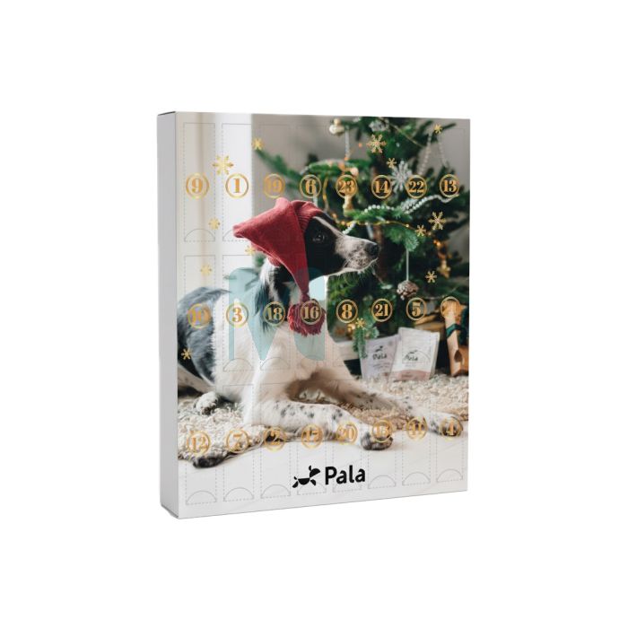 PALA KOERA ADVENDIKALENDER 24X10G