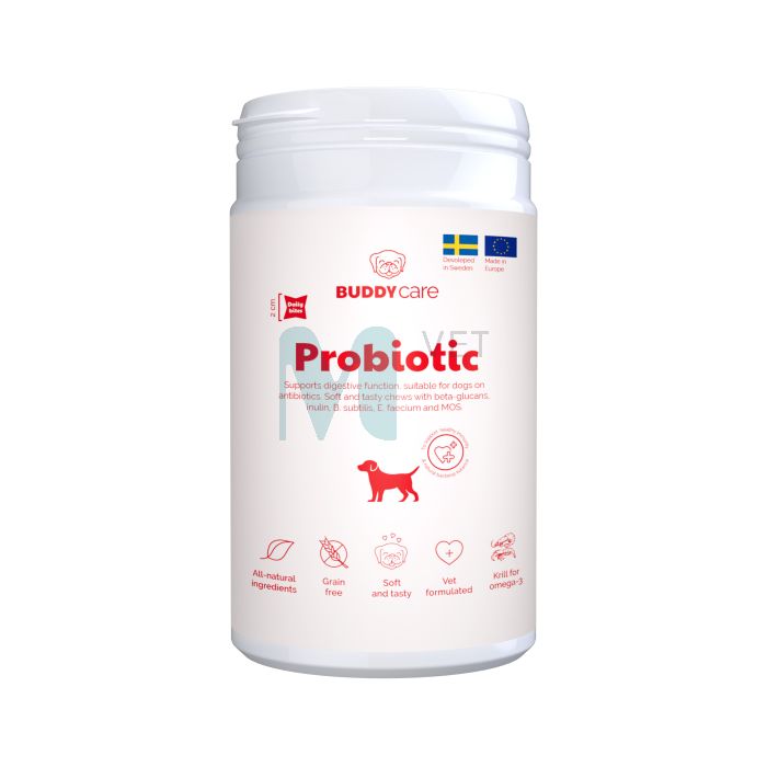 BUDDY CARE KOERA NÄRIMISMAIUS PROBIOTIC 150G