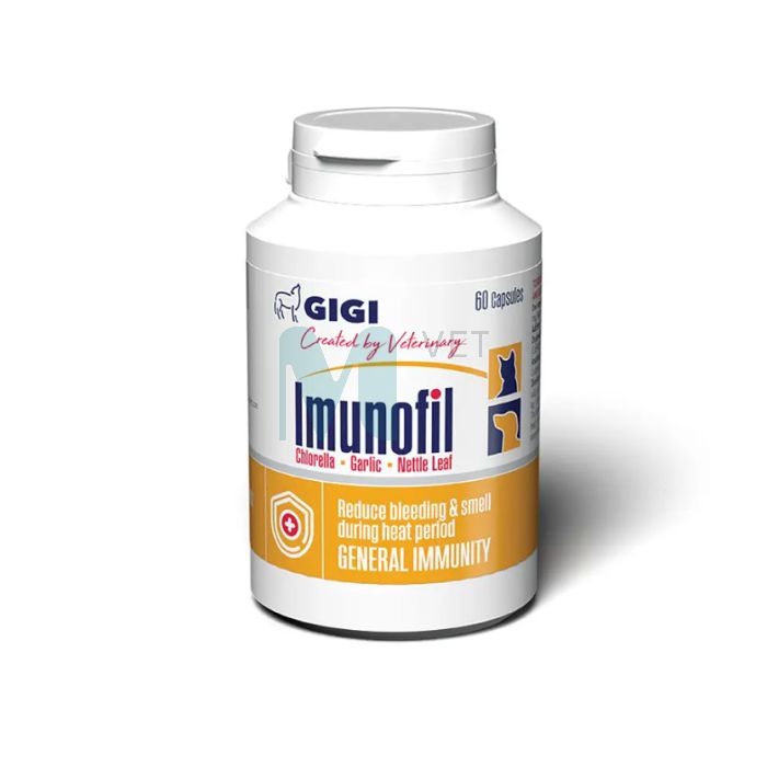 GIGI IMUNOFILS CAPS N60