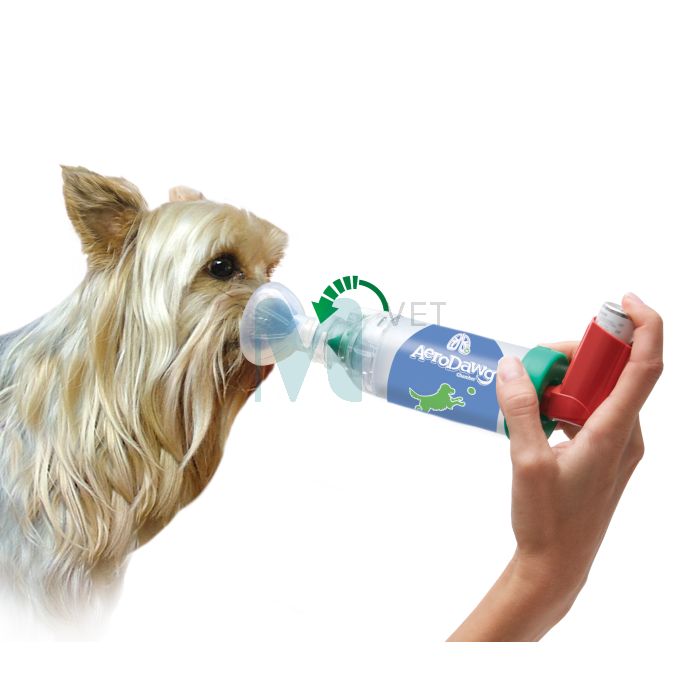 TRUDELL AERODAWG* KAMBER VÄIKE