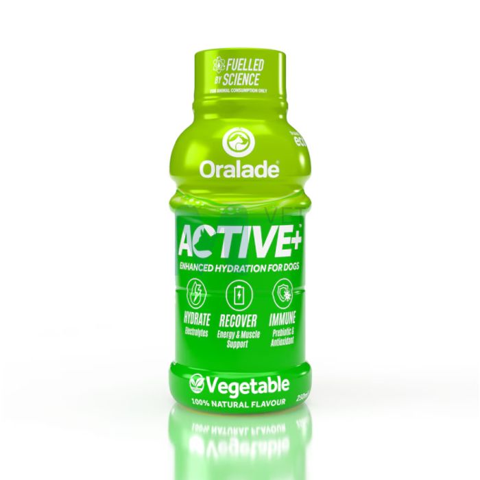 ORALADE ACTIVE JOOK KOERTELE KÖÖGIVILJADEGA 250ML N1