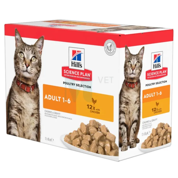 HILLS KASSI EINEKOTIKE KANA 85G N12 - Tootepilt 1
