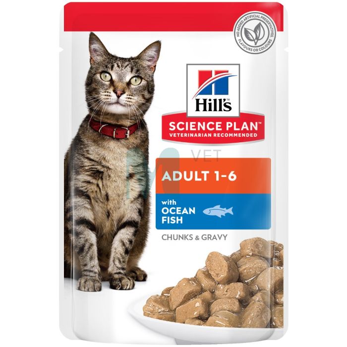 HILLS KASSI EINEKOTIKE OOKEANIKALA 85G N12