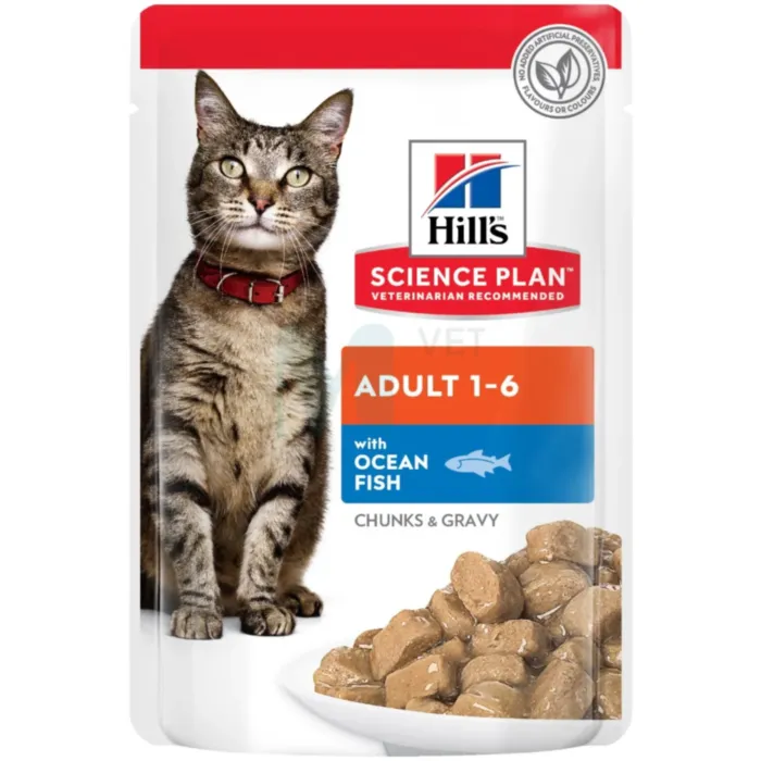 HILLS KASSI EINEKOTIKE OOKEANIKALA 85G N12 - Tootepilt 1