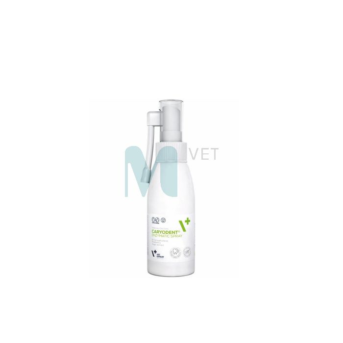VETEXPERT ENSÜMAATILINE SPREI CARYODENT 75G