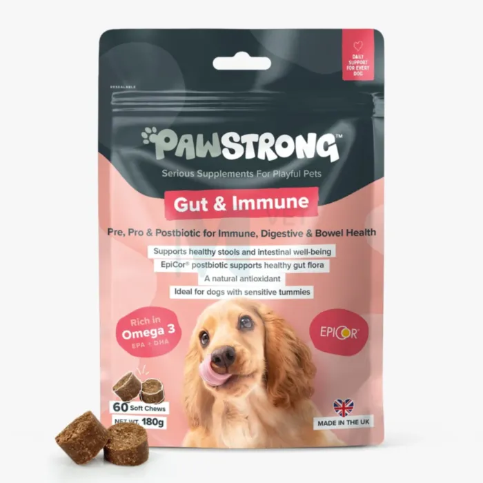 PAWSTRONG KOERA NÄRIMISTABLETT GUT & IMMUNE N60 - Tootepilt 1
