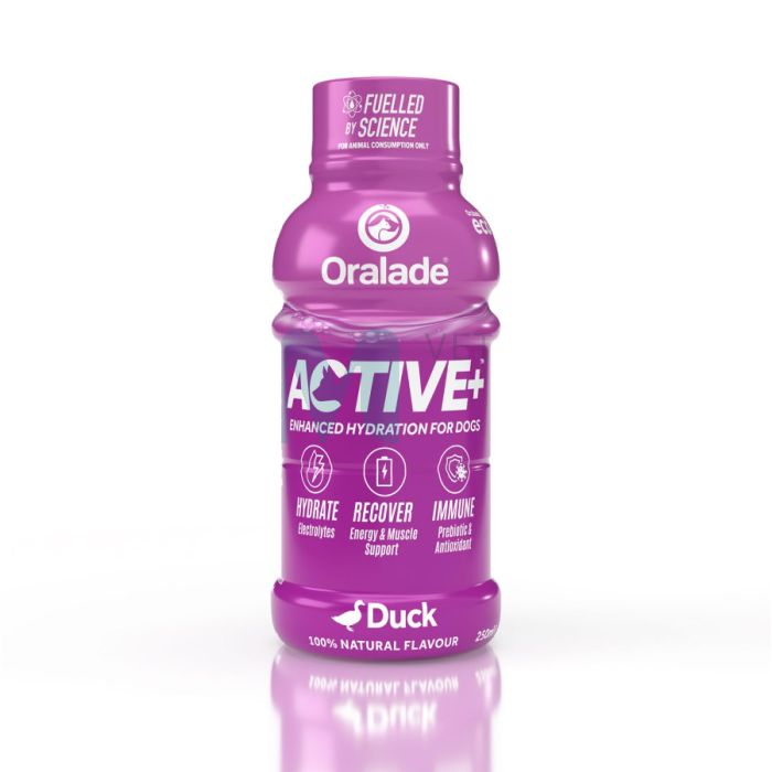 ORALADE ACTIVE JOOK KOERTELE PARDIGA 250ML N1