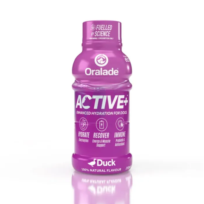 ORALADE ACTIVE JOOK KOERTELE PARDIGA 250ML N1 - Tootepilt 1
