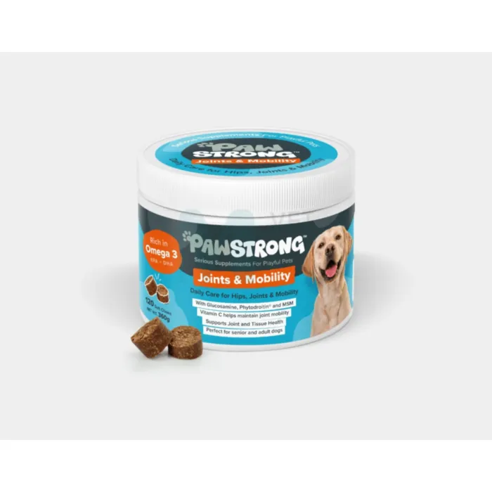 PAWSTRONG KOERA NÄRIMISTABLETT JOINTS & MOBILITY N120 - Tootepilt 1