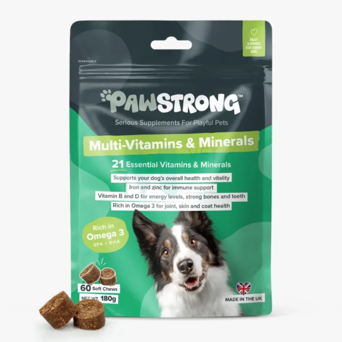 PAWSTRONG KOERA NÄRIMISTABLETT MULTI-VITAMIN&MINERALS N60 - Tootepilt 1