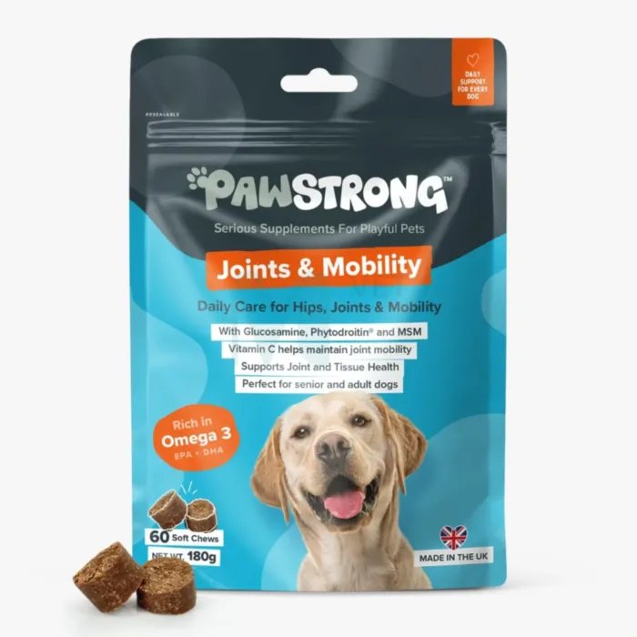 PAWSTRONG KOERA NÄRIMISTABLETT JOINTS & MOBILITY N60 - Tootepilt 1
