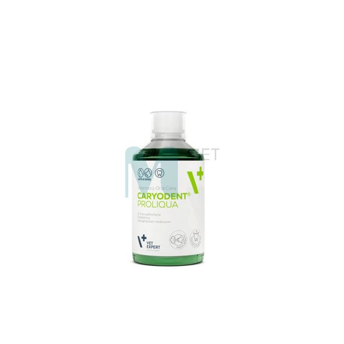VETEXPERT CARYODENT JOOGIVEELISAND PROLIQUA KOERTELE 250ML