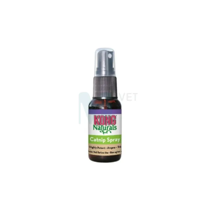 KONG NATURALS KASSI SPREI NAISTENÕGES 30 ML - Tootepilt 1