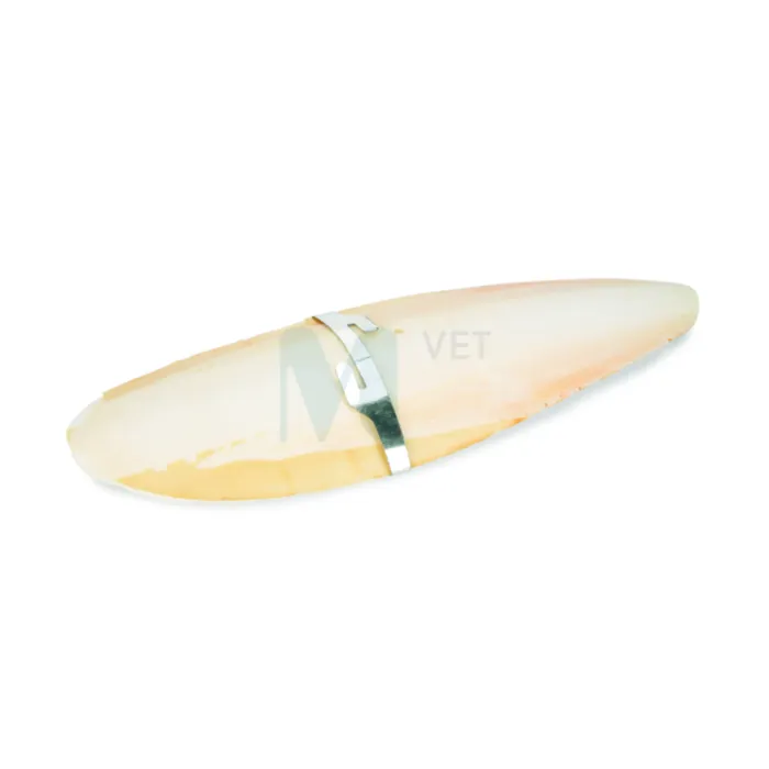 BEEZTEES LINDUDE MINERAALKIVI CUTTLEFISH BONE 20CM - Tootepilt 1