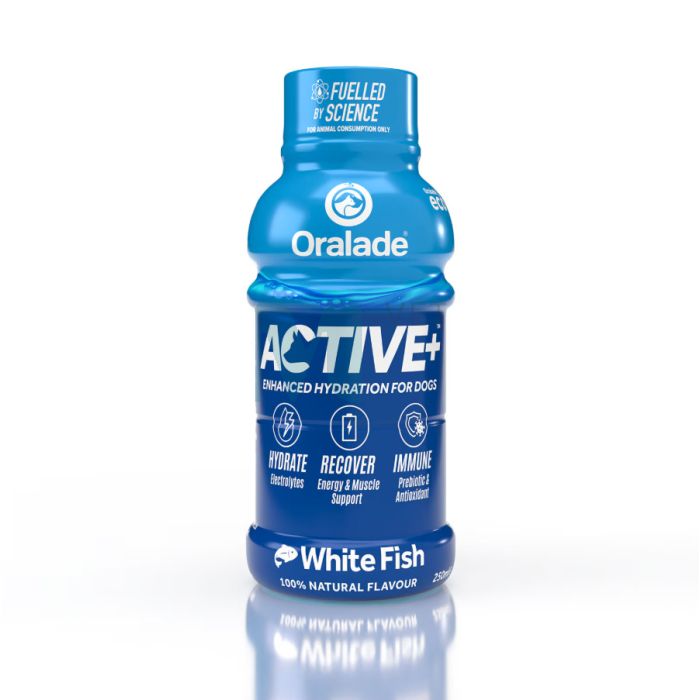 ORALADE ACTIVE JOOK KOERTELE KALAGA 250ML N1