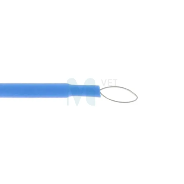 GIMA KAUTERI ELEKTROOD OVAALNE ÖÖS SIRGE KOGUPIKKUS 5CM - Tootepilt 1