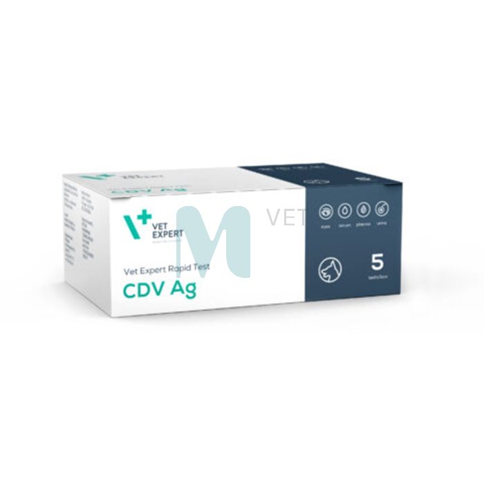 VETEXPERT TEST RAPID CDV AG N5