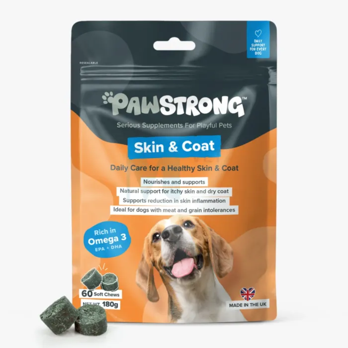 PAWSTRONG KOERA NÄRIMISTABLETT SKIN & COAT N60 - Tootepilt 1