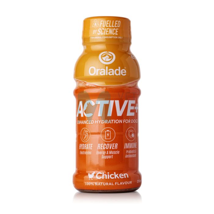 ORALADE ACTIVE JOOK KOERTELE KANAGA 250ML N1