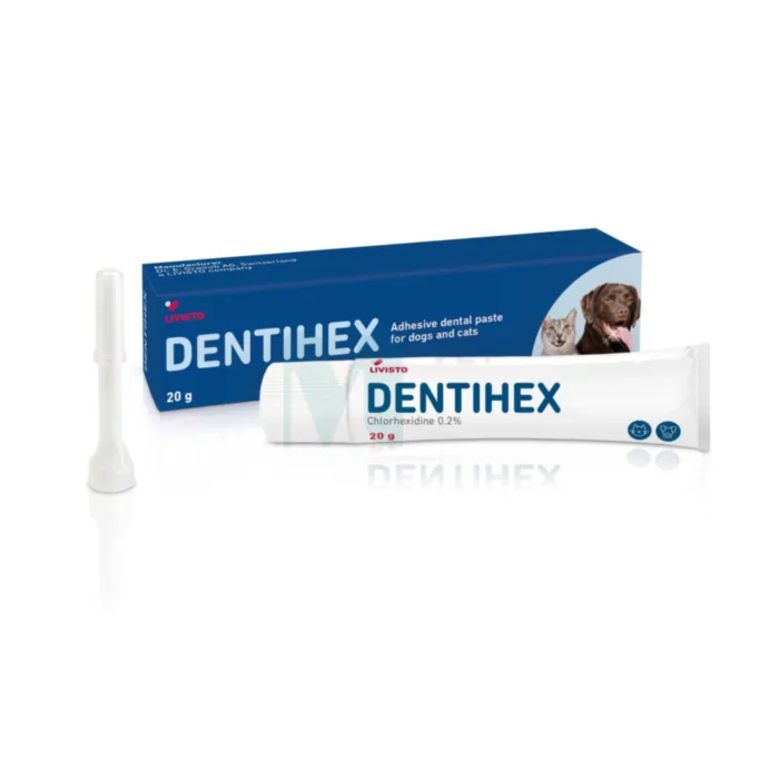 HAMBAPASTA DENTIHEX 20G - Tootepilt 1