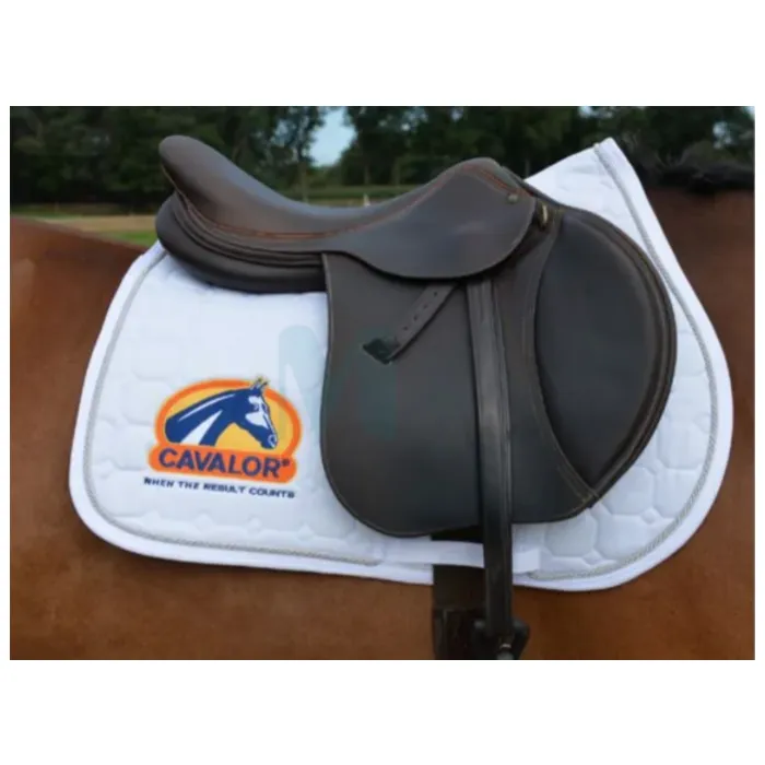 CAVALOR HOBUSE VALTRAP COB/FULL TS VALGE - Tootepilt 1