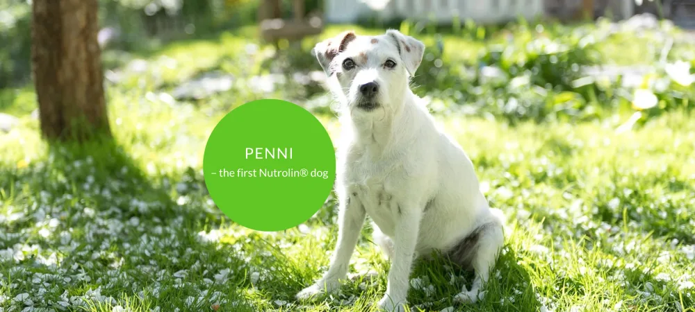 Kes ja mis on nutrolin - Penni